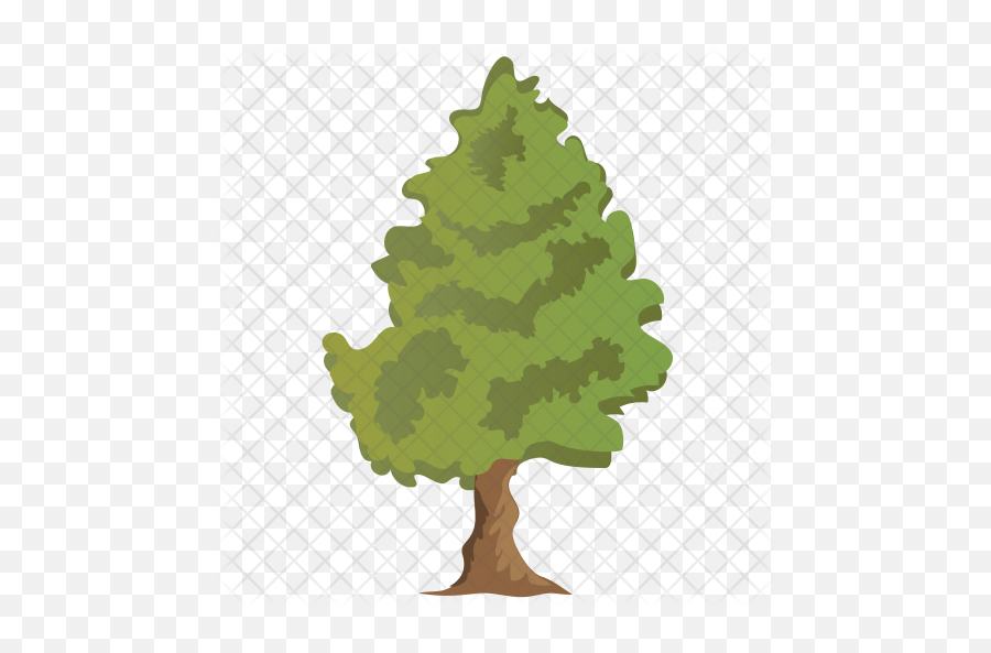 Cedar Tree Icon Of Flat Style - Christmas Tree Png,Cedar Tree Png