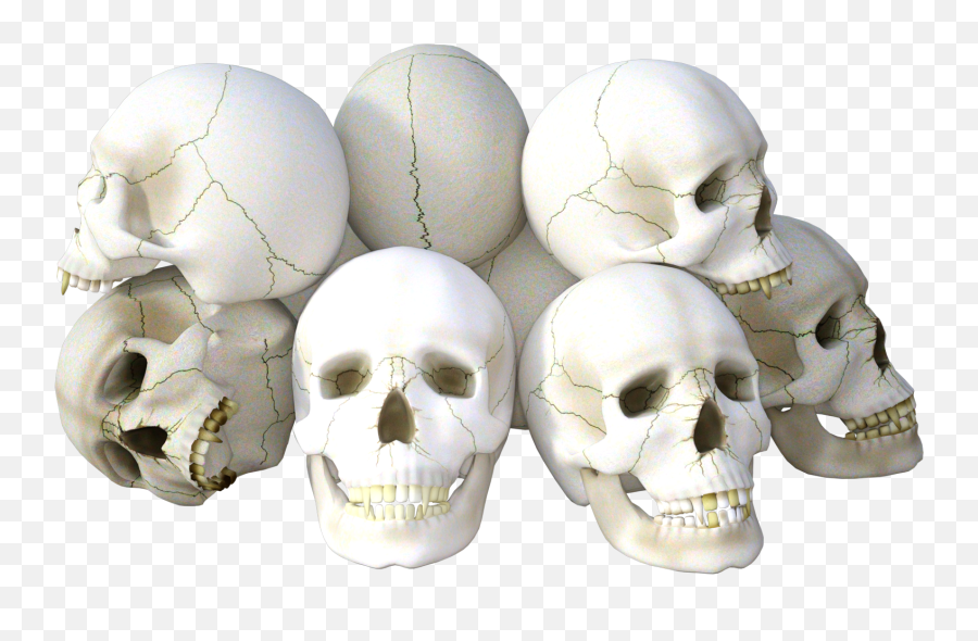 Skeleton Head Png Transparent Images - Skulls Png,Skeleton Png Transparent