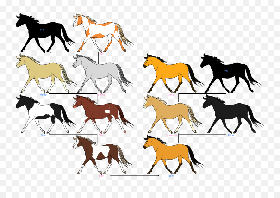 Mustang Horses Family Tree Spirit - Horse Png Download Spirit Horse Drawing,Mustang Horse Png