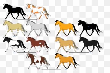Mustang Horses Family Tree Spirit - Horse Png Download Spirit Horse Drawing,Mustang Horse Png