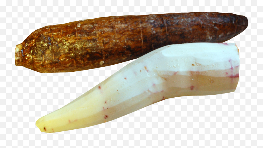 Cassava Peeled Png Image For Free Download - Png Cassav,Tusk Png
