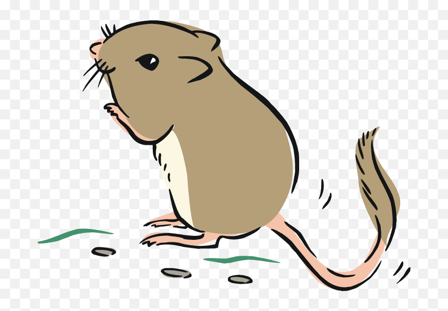 Zodiac Clipart Rat - Kangaroo Rat Clipart Png Download Rat Clipart Png,Rat Transparent Background