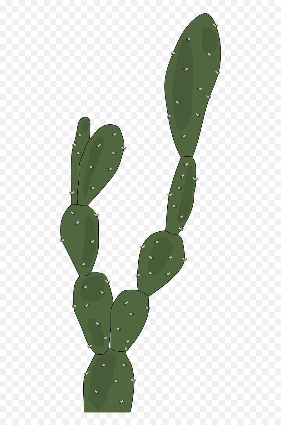 Desert Plants Cactus Green - Plantas Del Desierto Png,Desert Plant Png