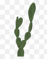Desert Plants Cactus Green - Plantas Del Desierto Png