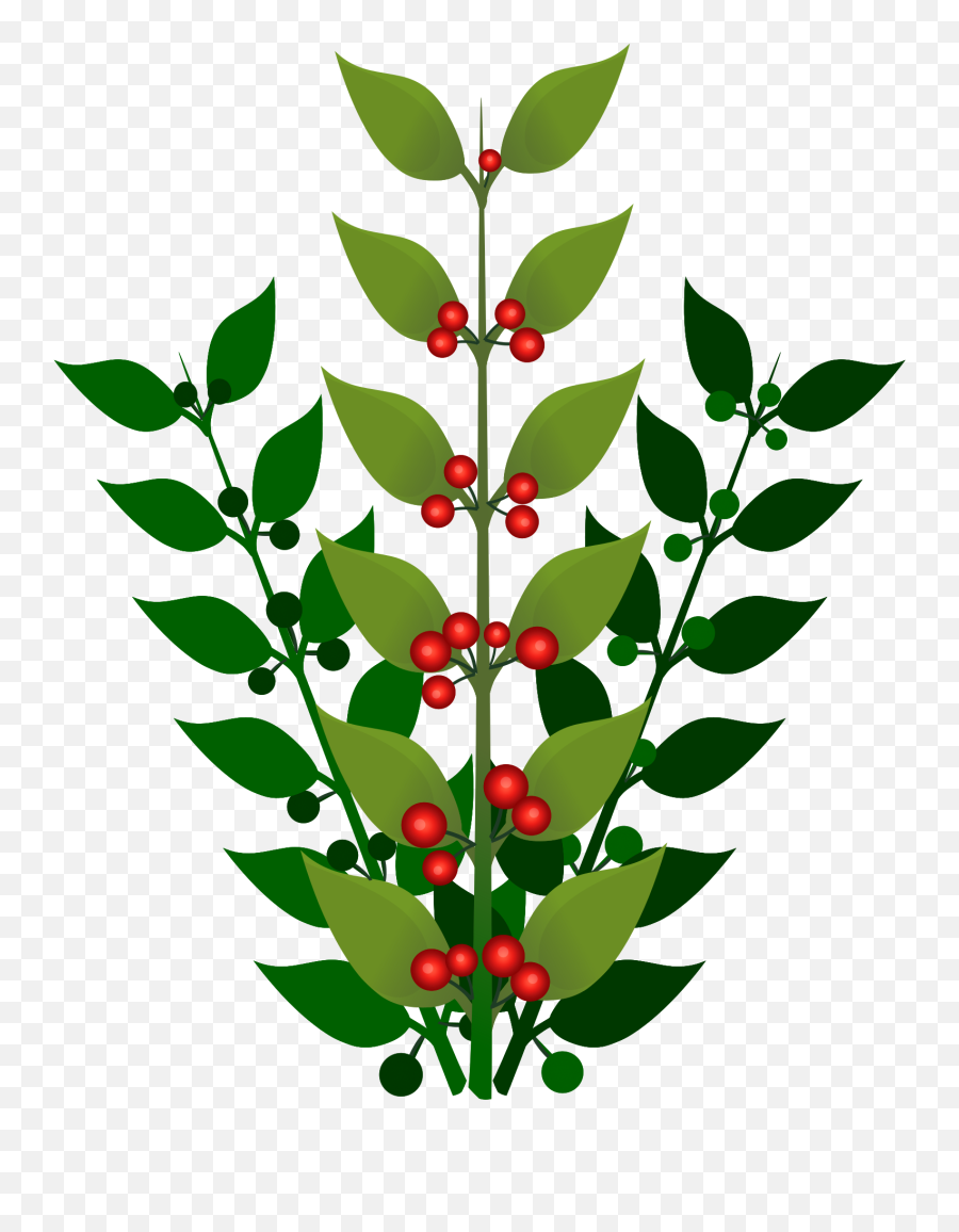 Berries Png - This Free Icons Png Design Of A Simple Branch Png Transparent Background Berry Bush Clipart,Branches Icon