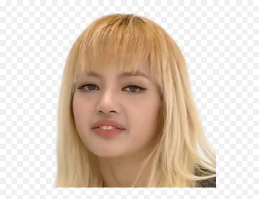 Who Was Your Bias When U First Got Into Blackpink And Did It - Kpop Funny Png,Lisa Blackpink Icon