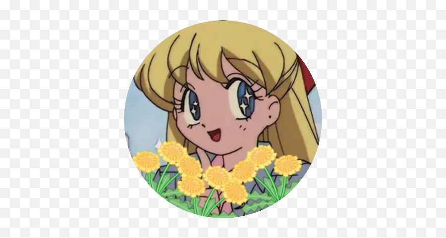 Shiroiroom - Fictional Character Png,Sailor Venus Icon