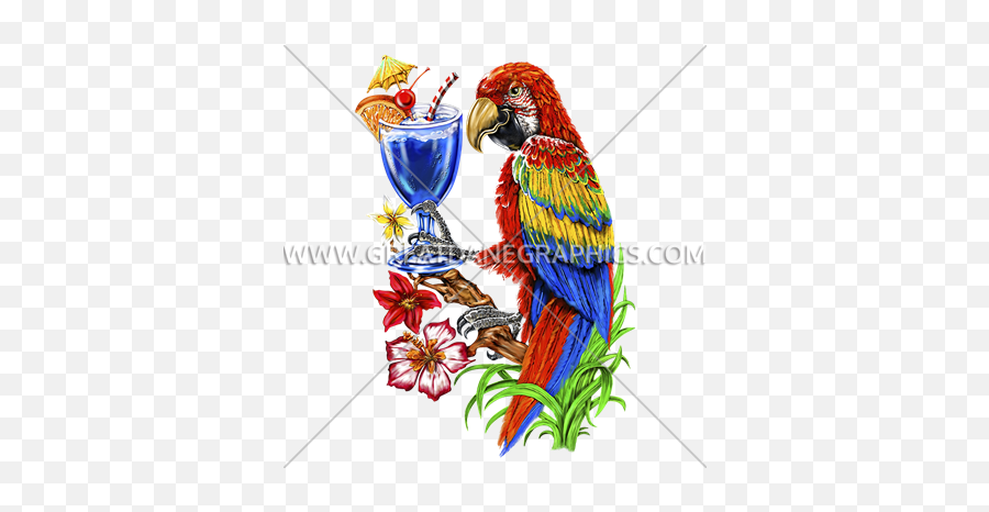 Parrot With Drink Production Ready Artwork For T - Shirt Macaw Png,Parrot Transparent Background