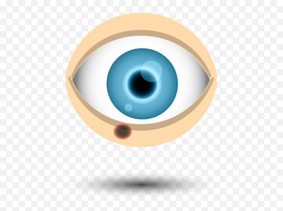 Skin Cancers Of The Eyelid U2013 Peel Vision - Circle Png,All Seeing Eye Icon