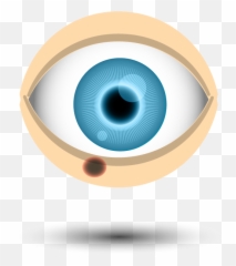 Skin Cancers Of The Eyelid U2013 Peel Vision - Circle png