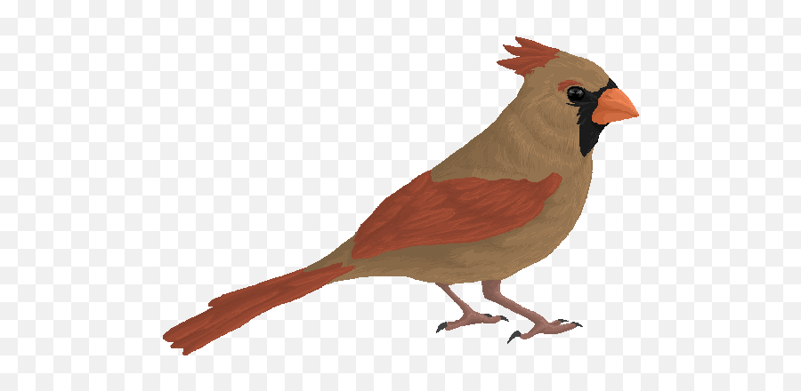 Female Cardinal Pixel By Kium - Fur Affinity Dot Net Northern Cardinal Png,Cardinal Png