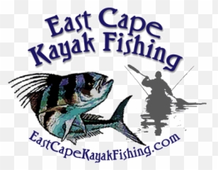 Jim Sammons - Pull Fish Out Of Water Png,Fishing Logos