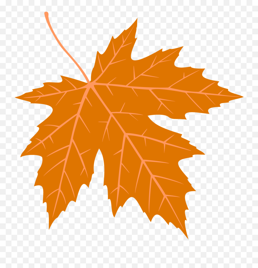 Free Png Autumn Leaves Falling Transparent