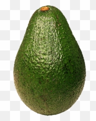 Avocado Png - Avocado Png,Avocado Transparent Background