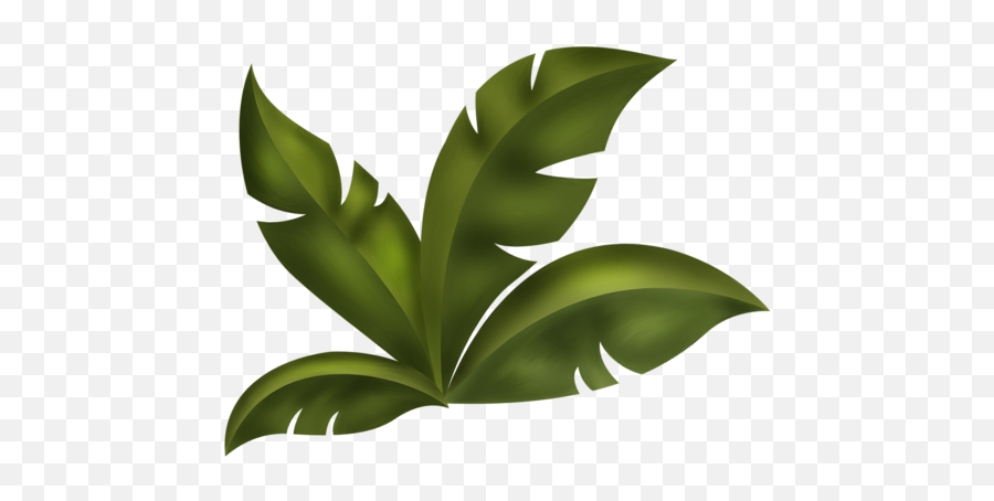 Arana Kits Scrap - Jungle Tree Leaf Clipart Png,Jungle Leaves Png