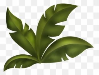 Arana Kits Scrap - Jungle Tree Leaf Clipart png