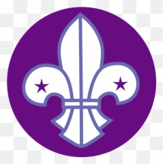 99 Best Fleur De Lis Png Pictures 2019 Free Download Latest - Scouts