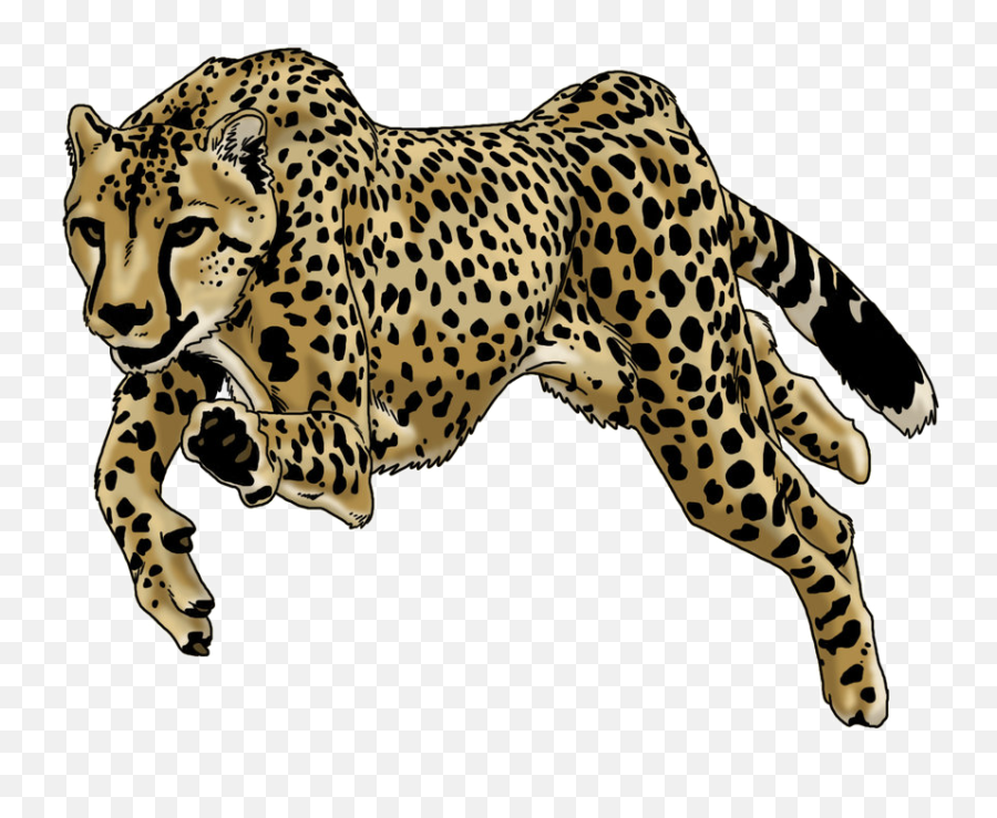 Running Cheetah Png Picture - The La Brea Tar Pits And Museum,Cheetah Png