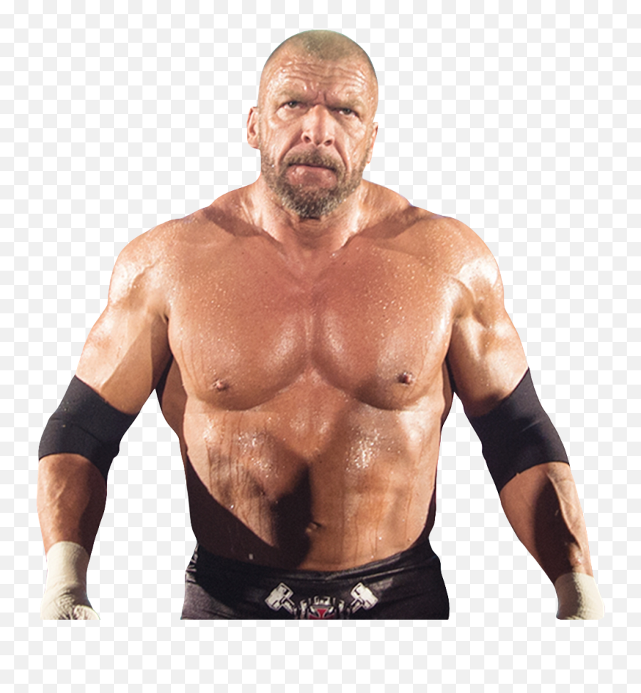 Triple H King Of Kings Skull Png - Triple H 2019 The King Of Kings,Triple H Png