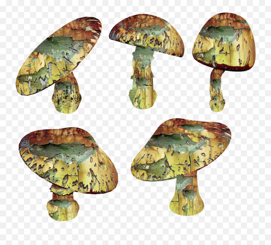 Trippy Mushroom Png - Magic Mushroom Png,Mushrooms Png