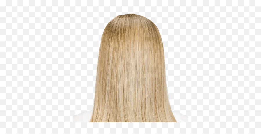 Wig Png And Vectors For Free Download Dlpngcom Blonde Free Roblox Hair Clown Hair Png Free Transparent Png Images Pngaaa Com - roblox.com hair free