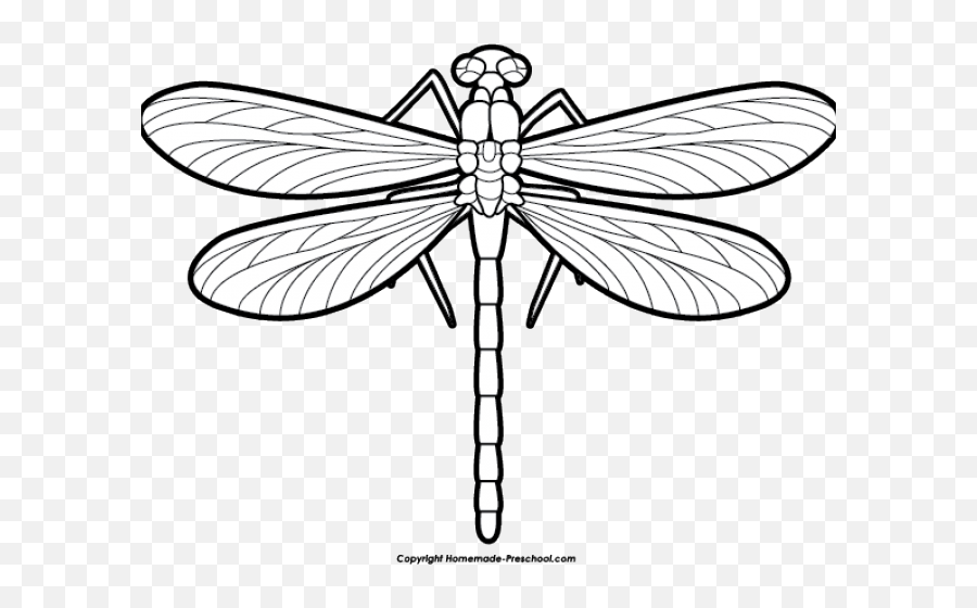 Free Dragonfly Clipart - Clipartix Clip Art Dragon Fly Png,Dragonfly Transparent Background