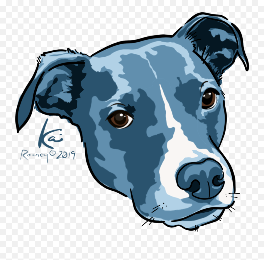 Kai By Lyn Gabriel - Rooney On Dribbble Staffordshire Bull Terrier Png,Gabe The Dog Png