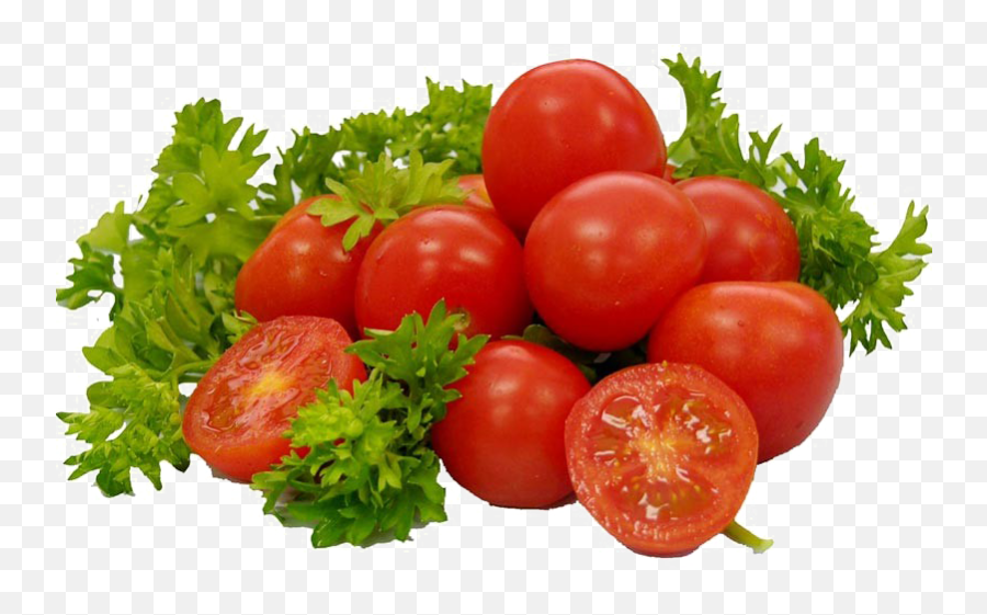 Fresh Tomato Png Free Download - Fresh Tomatoes Png,Tomatoe Png