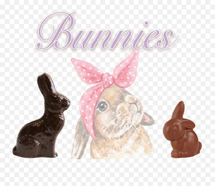 Bunny Collection Gnosis Chocolate - Domestic Rabbit Png,Bunnies Png