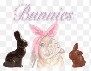 Bunny Collection Gnosis Chocolate - Domestic Rabbit Png,Bunnies Png