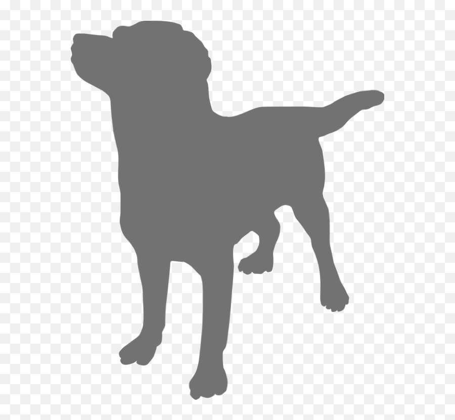 Sitting Dog Silhouette Png - Benefits Of Dog Massage,Dog Silhouette Png