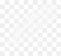 Feather Png Image - Literary Criticism An Introduction To Theory And Practice,Feather Png