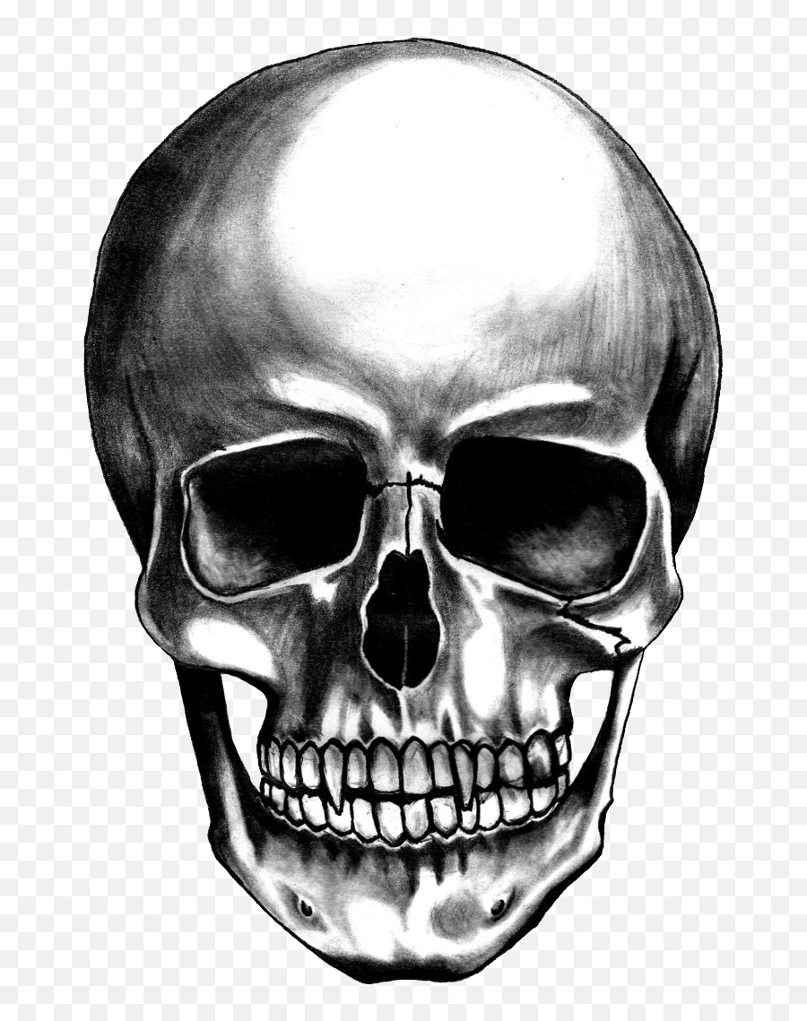Skull Png Images - Transparent Background Skull Png Hd,Skeleton Png Transparent