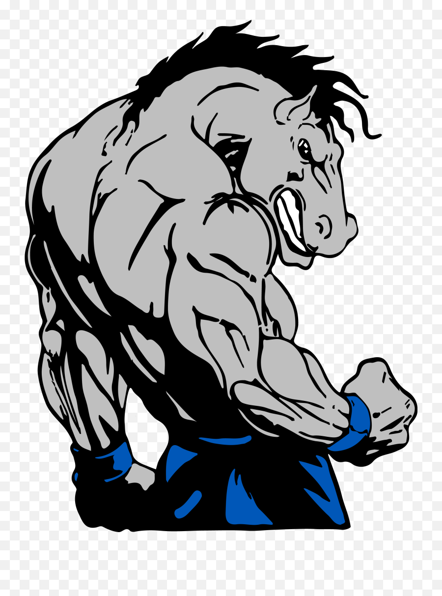 Contact Us - Bodybuilding Horse 2353x3069 Png Clipart Bodybuilding Horse,Mustang Horse Png