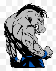 Contact Us - Bodybuilding Horse 2353x3069 Png Clipart
