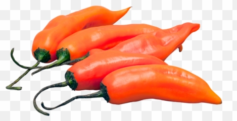Aji Amarillo Peruvian Yellow Hot Pepper - Png