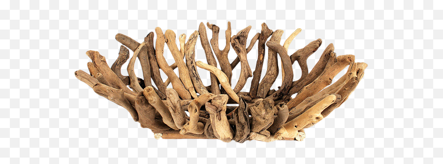 Download Hd Creative Co - Op Inc 22 X 16 Driftwood Bowl Antler Png,Driftwood Png
