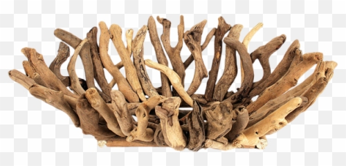 Download Hd Creative Co - Op Inc 22 X 16 Driftwood Bowl Antler Png,Driftwood Png