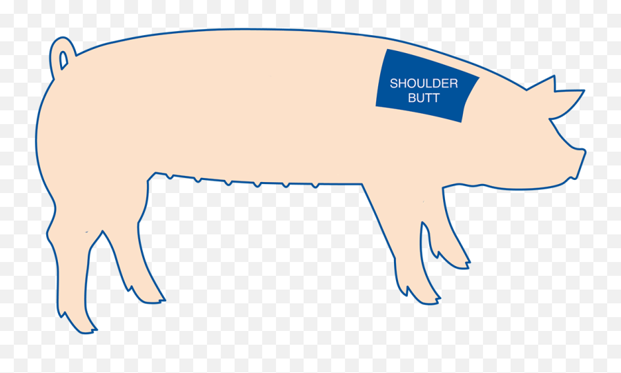 Download Pig Butt Png - Domestic Pig,Butt Png