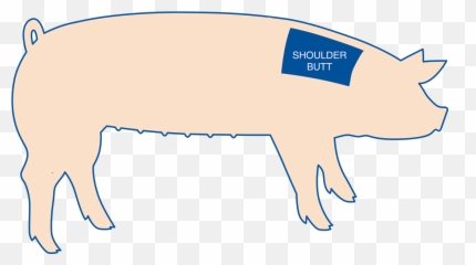 Download Pig Butt Png - Domestic Pig,Butt Png