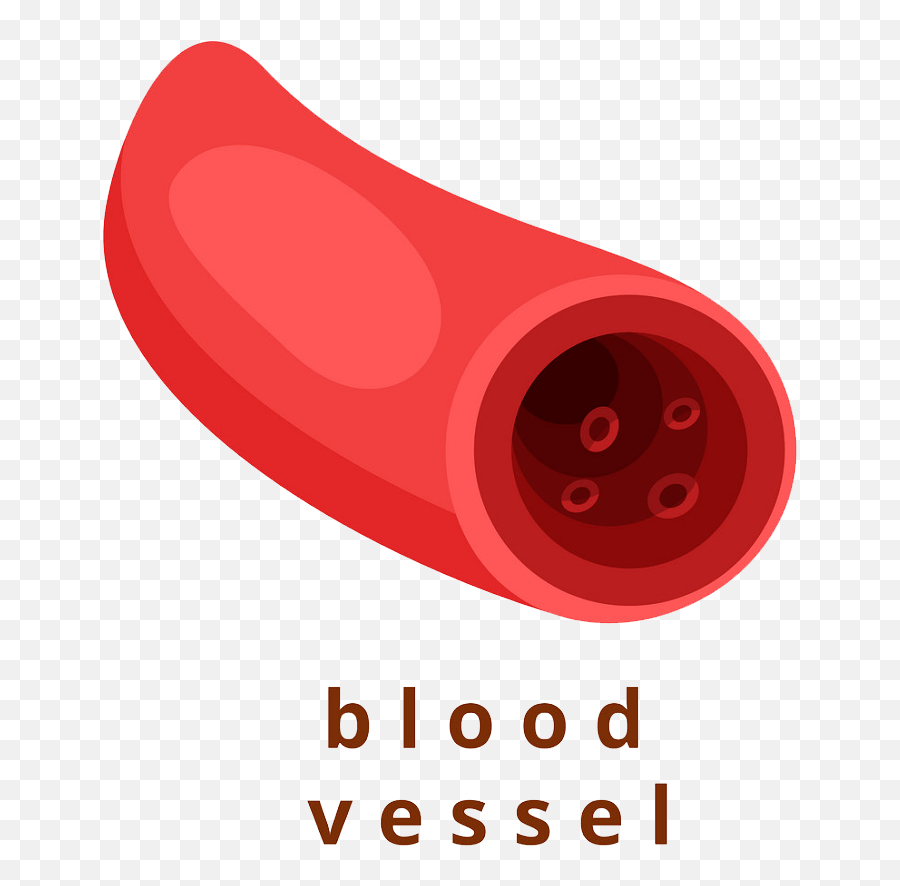 Long Blood Splatter Transparent - Clipart World Blood Vessel Transparent Png,Blood Splatter Transparent Png