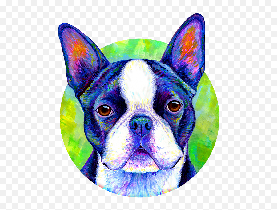 Effervescent - Colorful Boston Terrier Dog Kids Tshirt Blue Boston Terrier Art Png,Boston Terrier Png