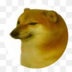 Cheems - Roblox Cheems Meme Png,Roblox Head Transparent
