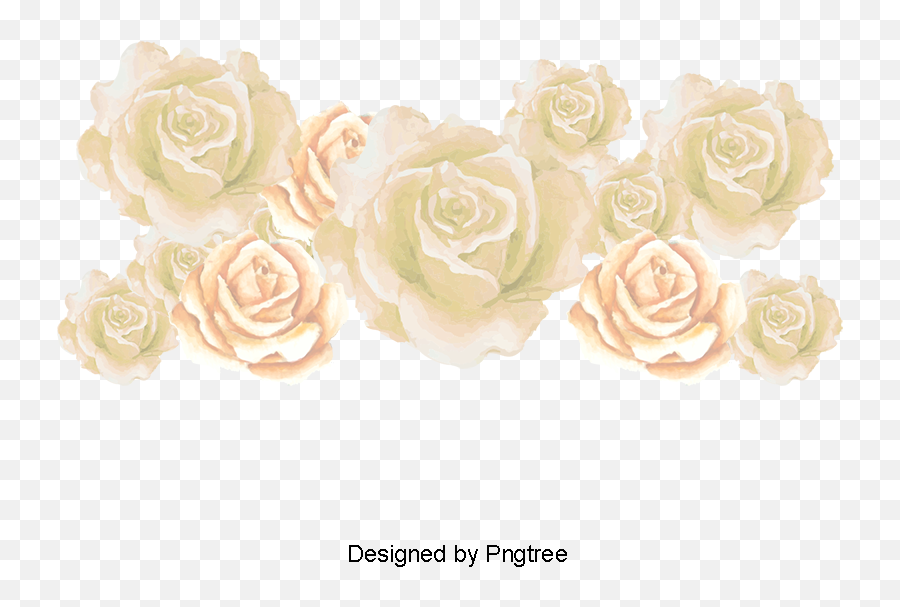 Download White Roses Vector Rose Sea - Decorative Png,Rose Vector Png