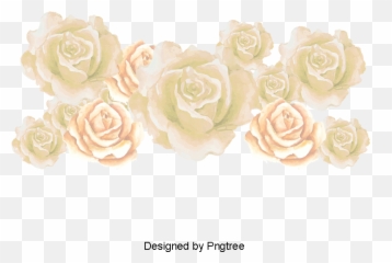 Download White Roses Vector Rose Sea - Decorative Png,Rose Vector Png