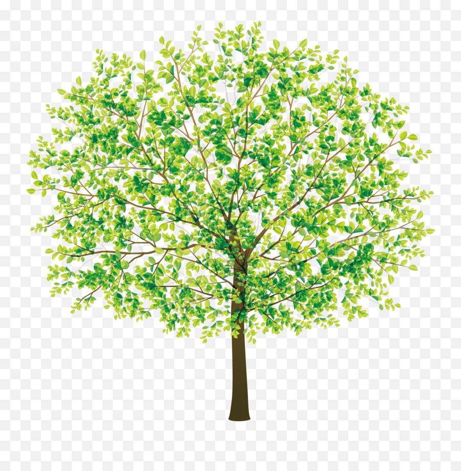 Free Transparent Tree Png Download - Free Beautiful Tree Clipart,Beautiful Png
