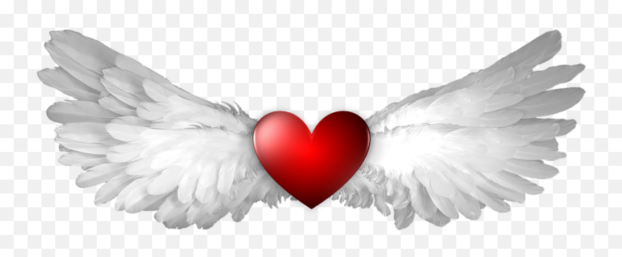 Heart Wing Wings Winged Shape Heaven Heavenly Ange - Clip Angelic Hearts Png,Heart With Wings Icon