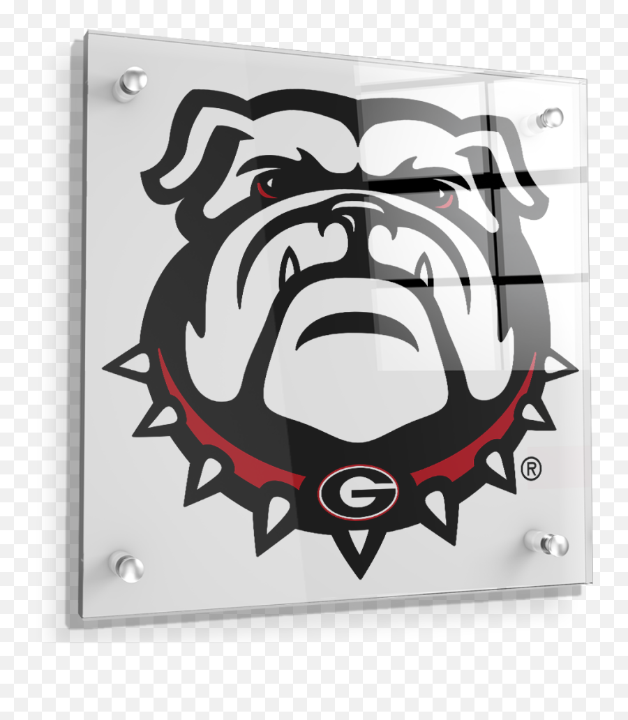 Georgia Bulldogs - Bulldog On White Georgia Bulldogs Logo Png,Bull Dog Icon