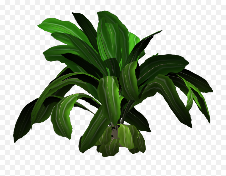 Added By Yorik - Tropical Plant Png,Tropical Plants Png