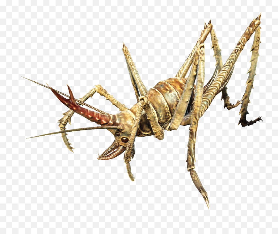 Cave Cricket - Cave Crickets Fallout 4 Png,Cricket Png